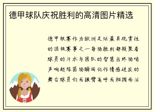 德甲球队庆祝胜利的高清图片精选