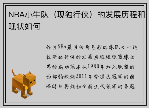 NBA小牛队（现独行侠）的发展历程和现状如何